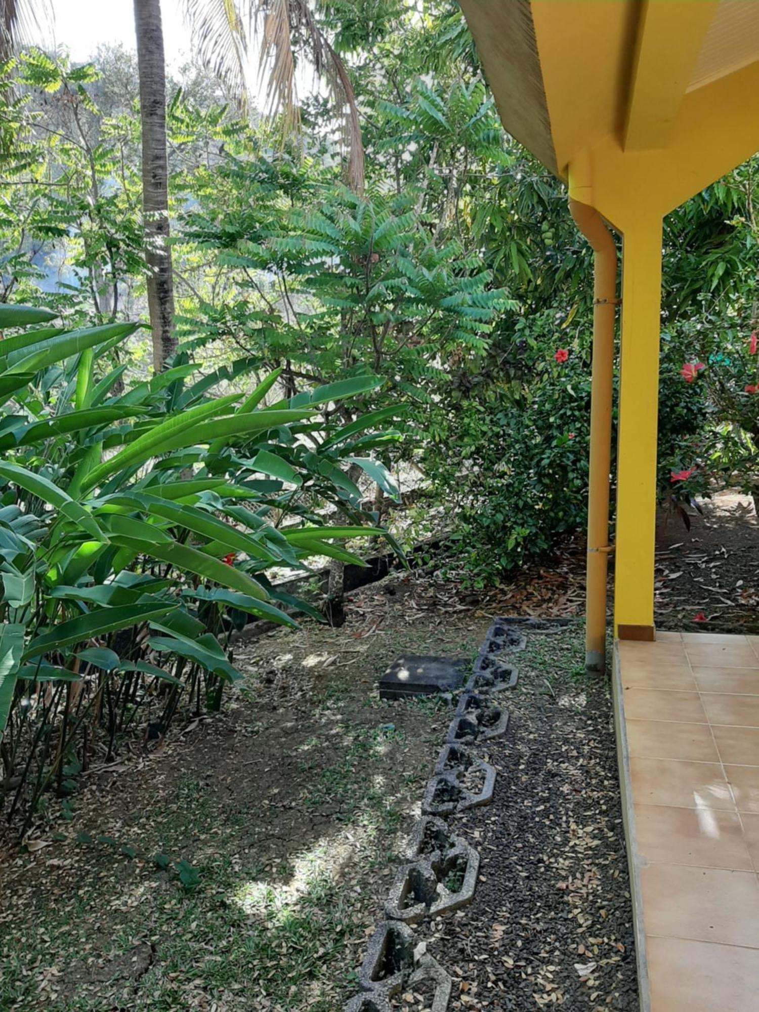 Residence De Vacances Mon Refuge - Bungalow De Type T3 Grande Anse Exteriér fotografie